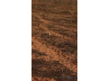 vente-de-terrains-a-thies-small-4
