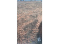vente-de-terrains-a-thies-small-1