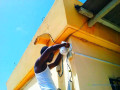 technicien-camera-de-surveillance-et-securite-electronique-small-0