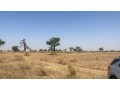 lotissement-a-malicounda-takhoum-extension-small-2