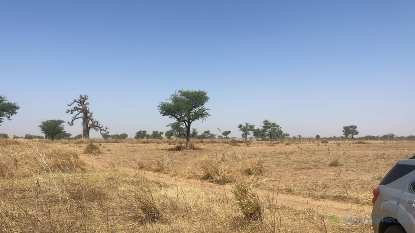 lotissement-a-malicounda-takhoum-extension-big-2