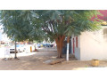 terrain-avec-batiment-a-vendre-a-mbour-senegal-small-3