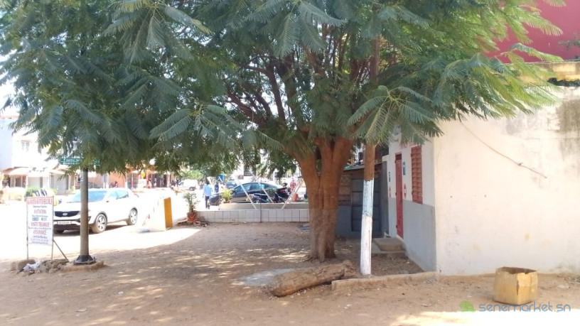 terrain-avec-batiment-a-vendre-a-mbour-senegal-big-3