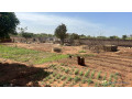 terrain-de-1500-metres-carres-a-vendre-a-nguerigne-senegal-small-1