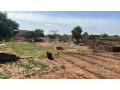 terrain-de-1500-metres-carres-a-vendre-a-nguerigne-senegal-small-3