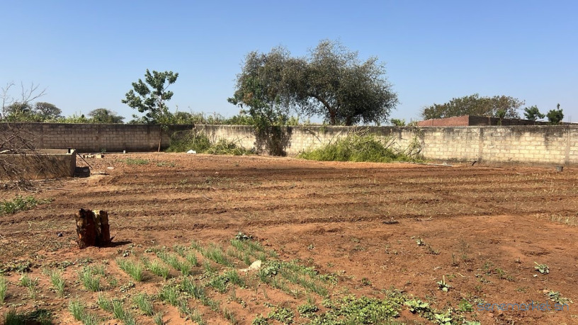 terrain-de-1500-metres-carres-a-vendre-a-nguerigne-senegal-big-2