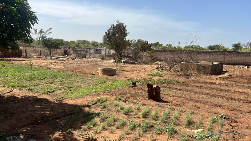 terrain-de-1500-metres-carres-a-vendre-a-nguerigne-senegal-big-1