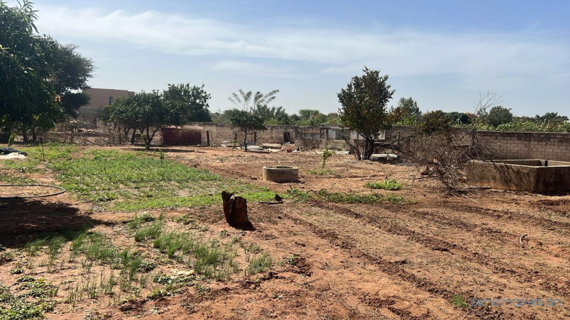 terrain-de-1500-metres-carres-a-vendre-a-nguerigne-senegal-big-3