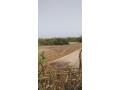 vente-dun-terrain-a-apix-small-2