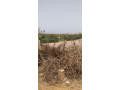 vente-dun-terrain-a-apix-small-1