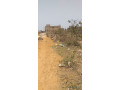 vente-dun-terrain-a-apix-small-4