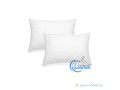 oreillers-orthopedique-small-0