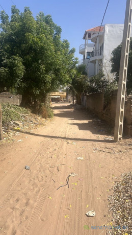 terrain-de-415-metres-carres-a-vendre-a-saly-senegal-big-1