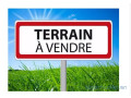 terrain-small-0