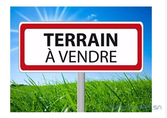terrain-big-0