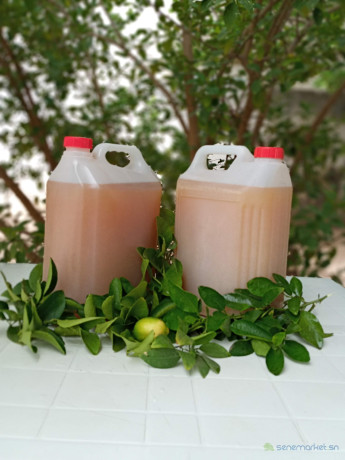 citron-presse-ndokhou-limon-big-1