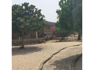 Maison Mboro sur Mer
