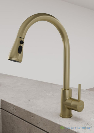robinet-extractible-petit-modele-dore-big-0