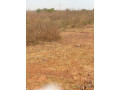 vente-terrains-150-dakar-small-1