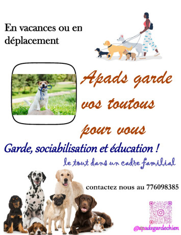 garde-chien-big-0