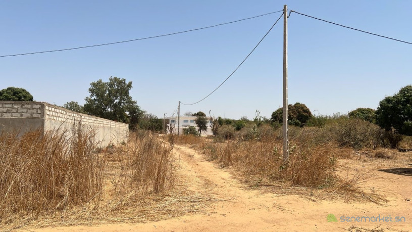 terrain-de-600-metres-carres-a-vendre-a-popenguine-senegal-big-2