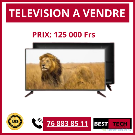 des-televisions-solaires-big-0