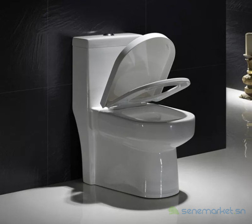 chaise-anglaise-a-reservoir-fixe-big-4