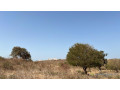 terrain-de-300-metres-carres-a-vendre-a-popenguine-senegal-small-1