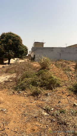terrain-de-500-metres-carres-a-vendre-a-nguekhokh-senegal-big-1