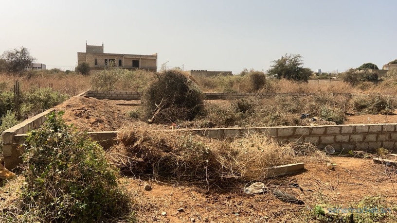 terrain-de-500-metres-carres-a-vendre-a-nguekhokh-senegal-big-2