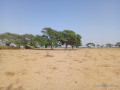 terrain-de-118-hectare-vers-tassette-small-2