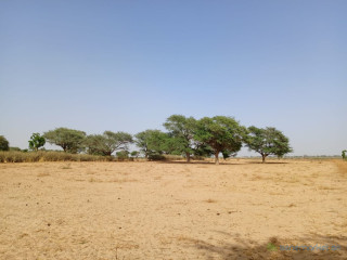 Terrain de 1,18 hectare vers Tassette