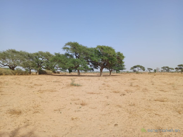 terrain-de-118-hectare-vers-tassette-big-2