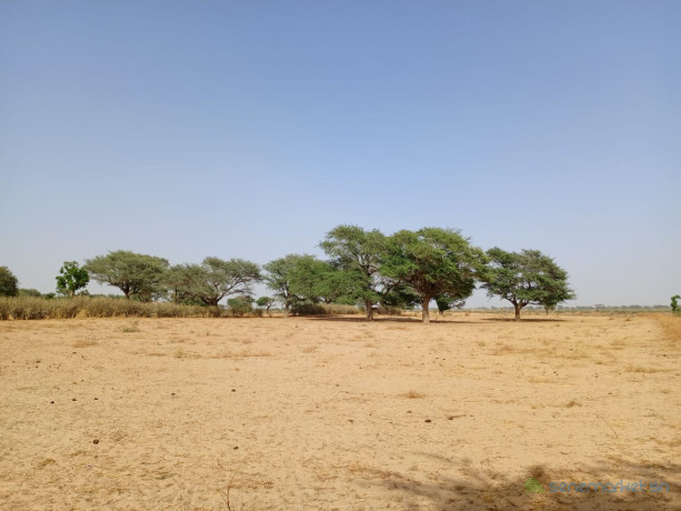 terrain-de-118-hectare-vers-tassette-big-0