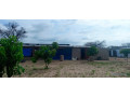 ferme-de-1-hectare-vers-notto-diobass-small-1