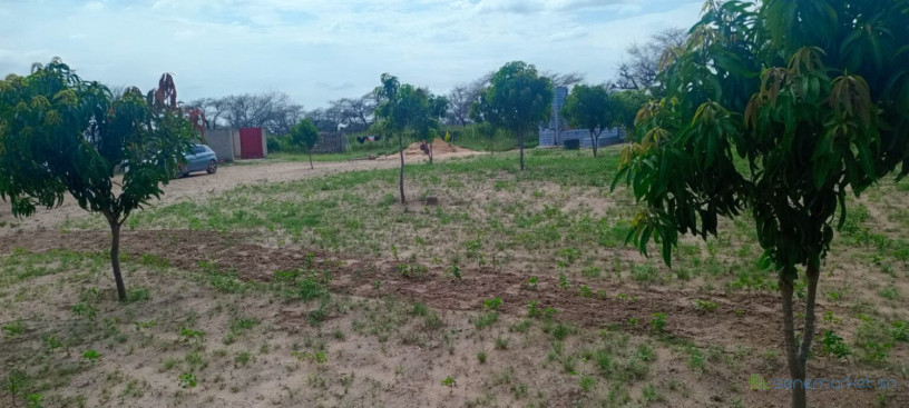 ferme-de-1-hectare-vers-notto-diobass-big-2