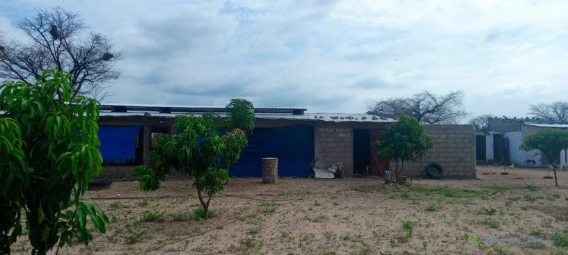 ferme-de-1-hectare-vers-notto-diobass-big-1