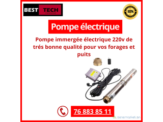 POMPE ELECTRIQUE IMMERGEE 220V