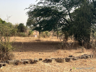 Verger de 8000 m² vers Tataguine