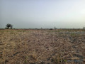 terrain-de-2-hectares-vers-ngueniene-small-1