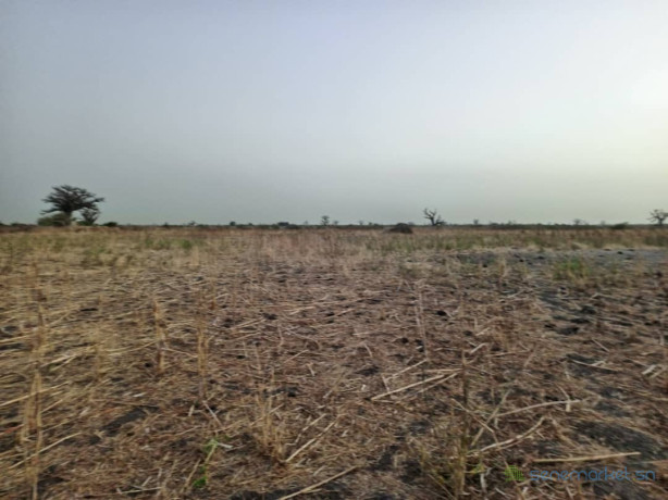 terrain-de-2-hectares-vers-ngueniene-big-1
