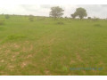 location-dun-terrain-agricole-de-3-hectares-vers-koungheul-small-1