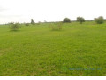 location-dun-terrain-agricole-de-3-hectares-vers-koungheul-small-0