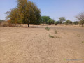 terrain-de-2-hectares-vers-tassette-small-1