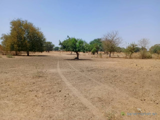 Terrain de 2 hectares vers Tassette