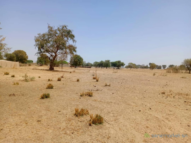 terrain-de-2-hectares-vers-tassette-big-2