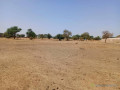 terrain-de-108-hectare-vers-tassette-small-1