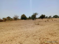 terrain-de-108-hectare-vers-tassette-small-0