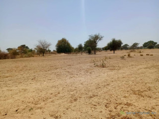 Terrain de 1,08 hectare vers Tassette