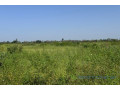 terrain-agricole-de-18-hectare-vers-fissel-small-1